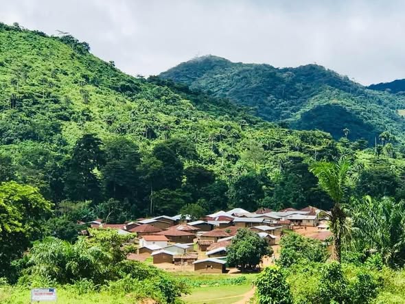 Biodiversity Policy Recommendations for 2022