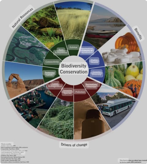 PROBIO - Protecting biodiversity through law enforcement and community-led initiatives
