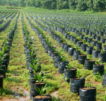Climate Resilience Programs